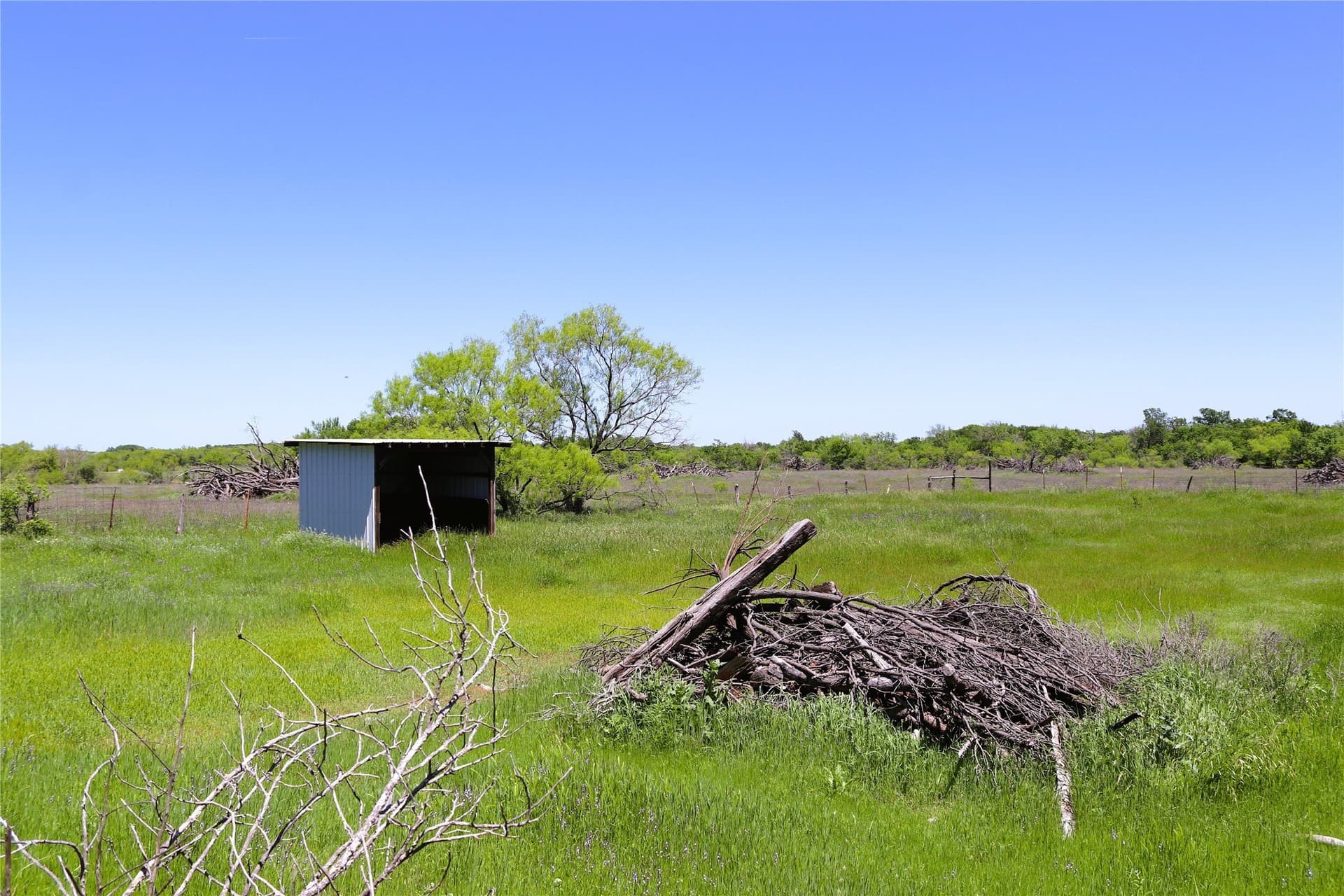 50 acres in Clay County - photo 26