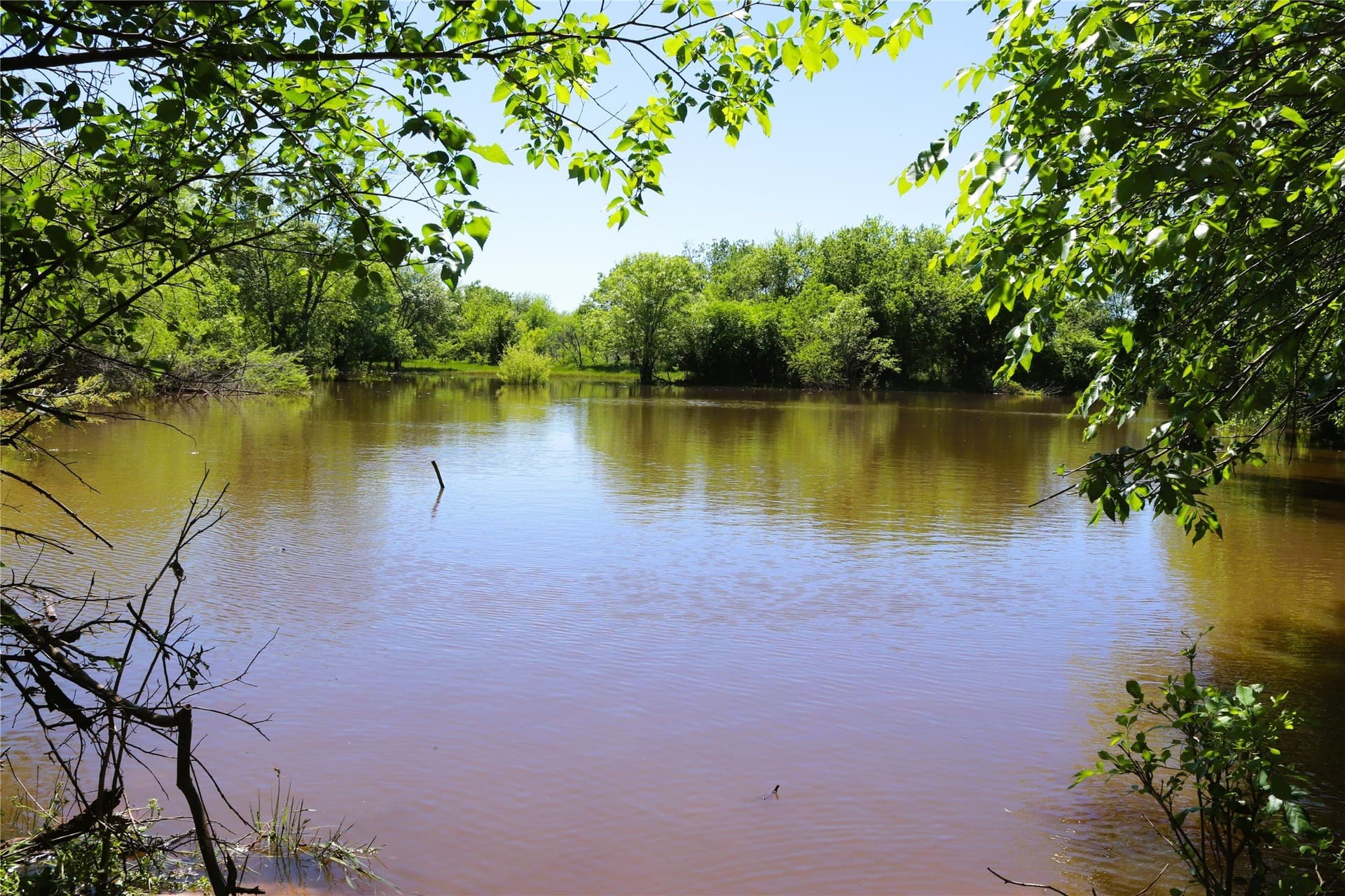50 acres in Clay County - photo 34