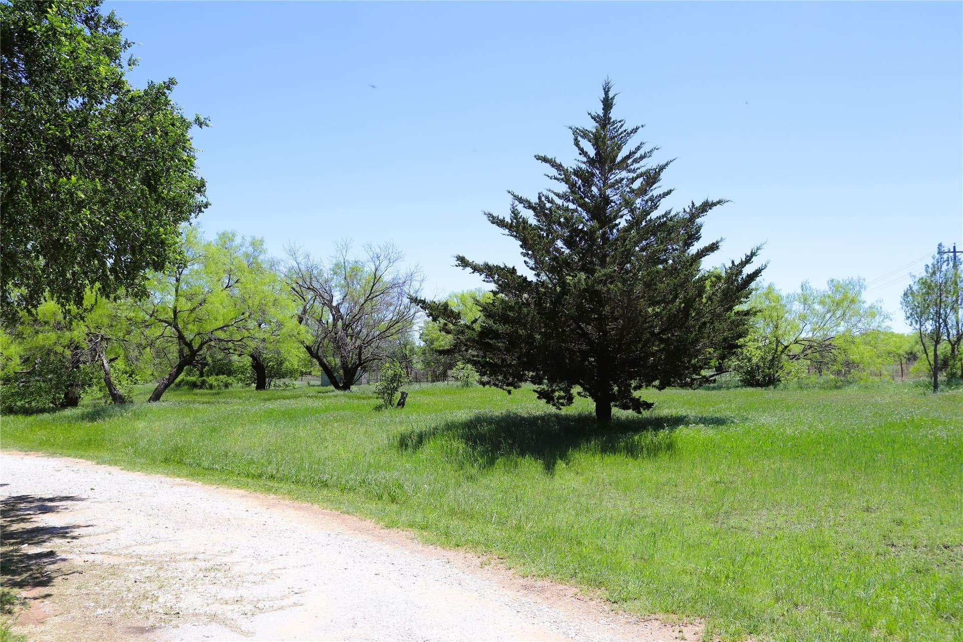 50 acres in Clay County - photo 23