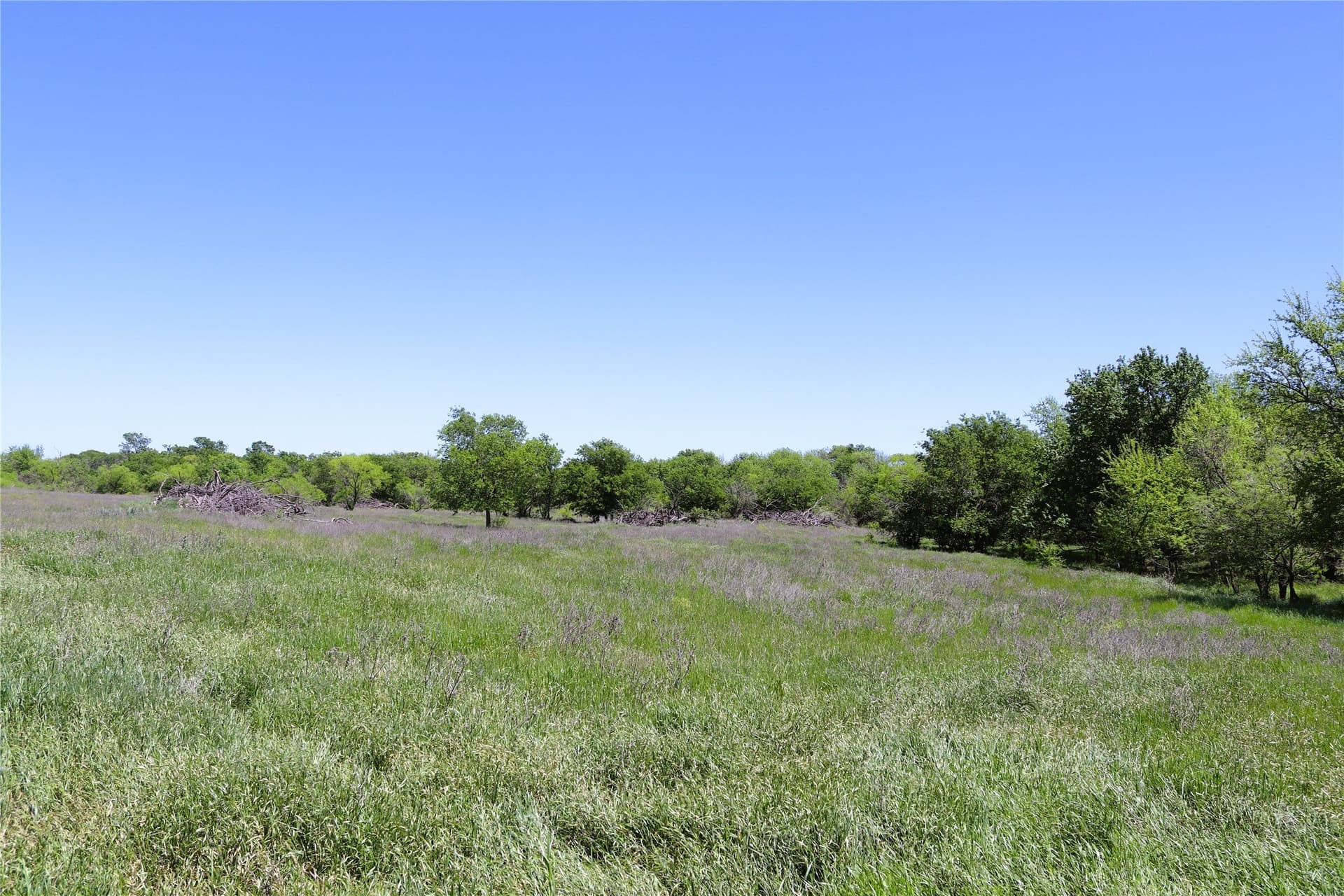 50 acres in Clay County - photo 29