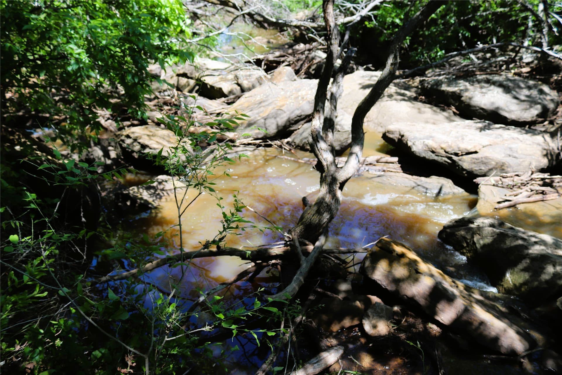50 acres in Clay County - photo 31