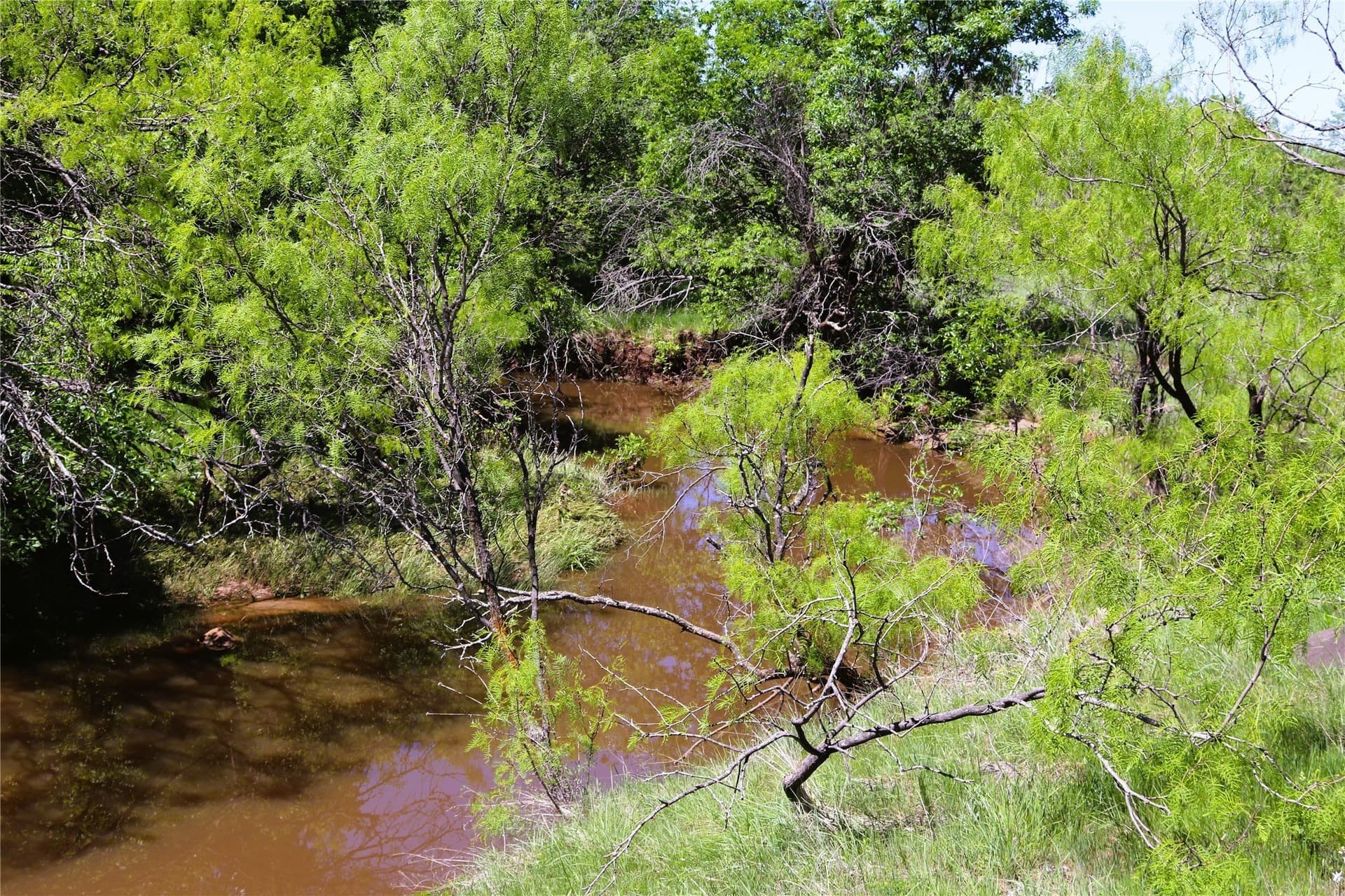50 acres in Clay County - photo 33