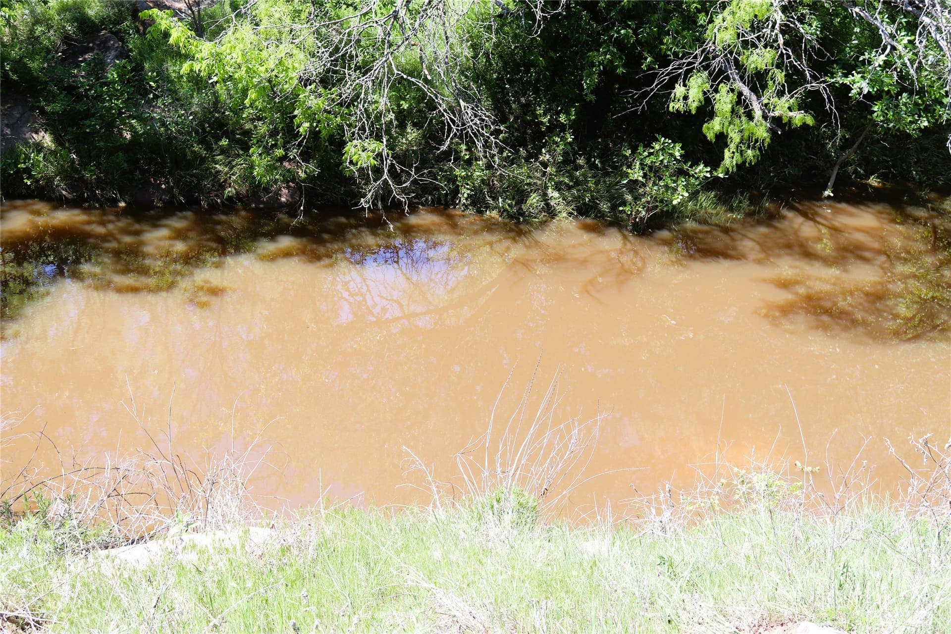 50 acres in Clay County - photo 32