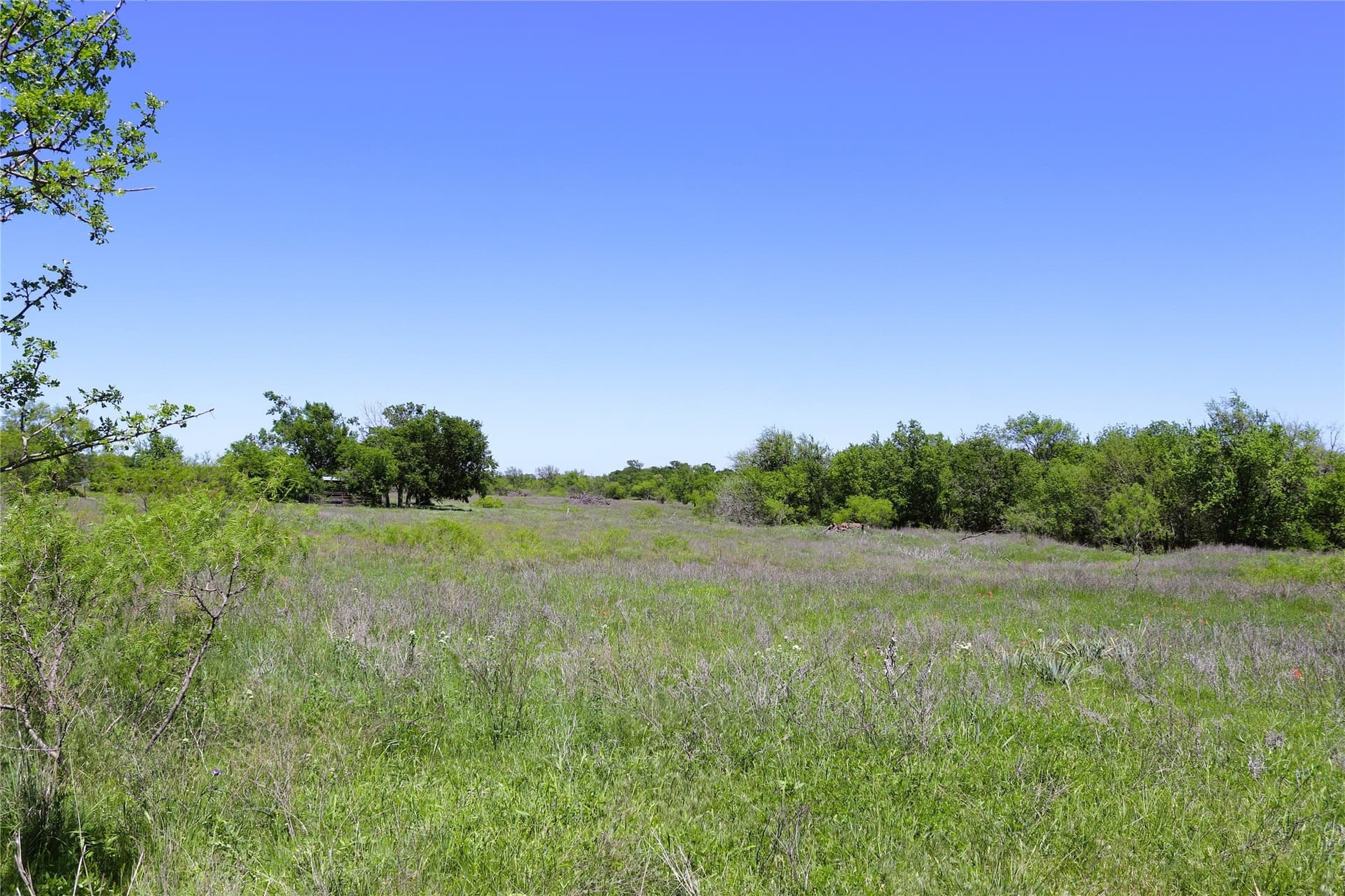 50 acres in Clay County - photo 30