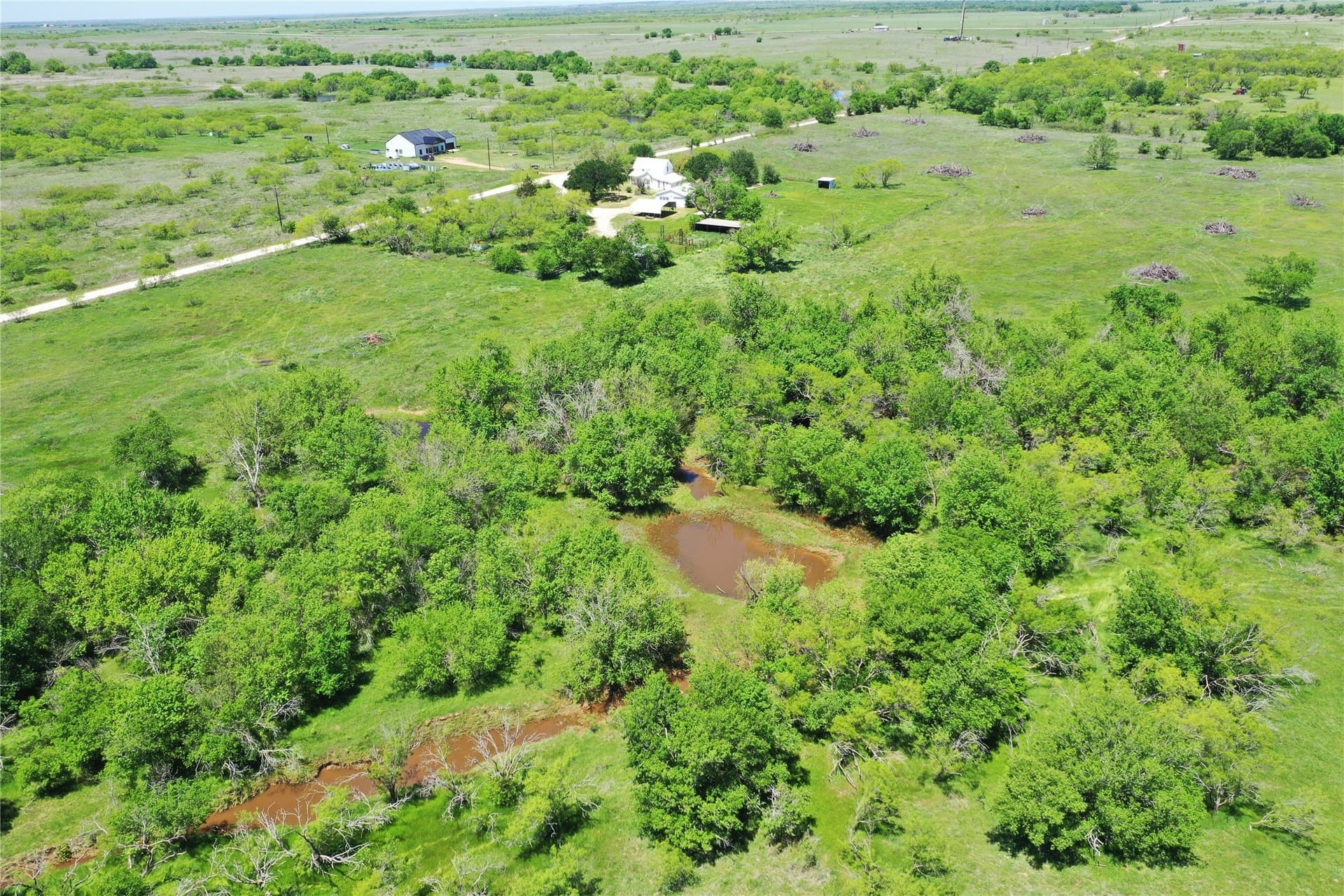 50 acres in Clay County gallery image 3