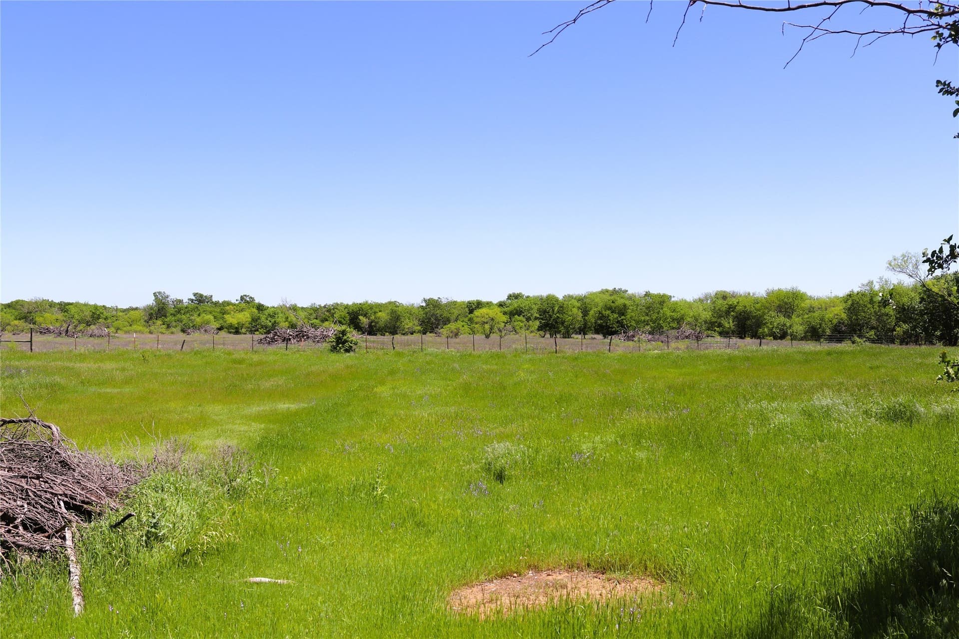 50 acres in Clay County - photo 25