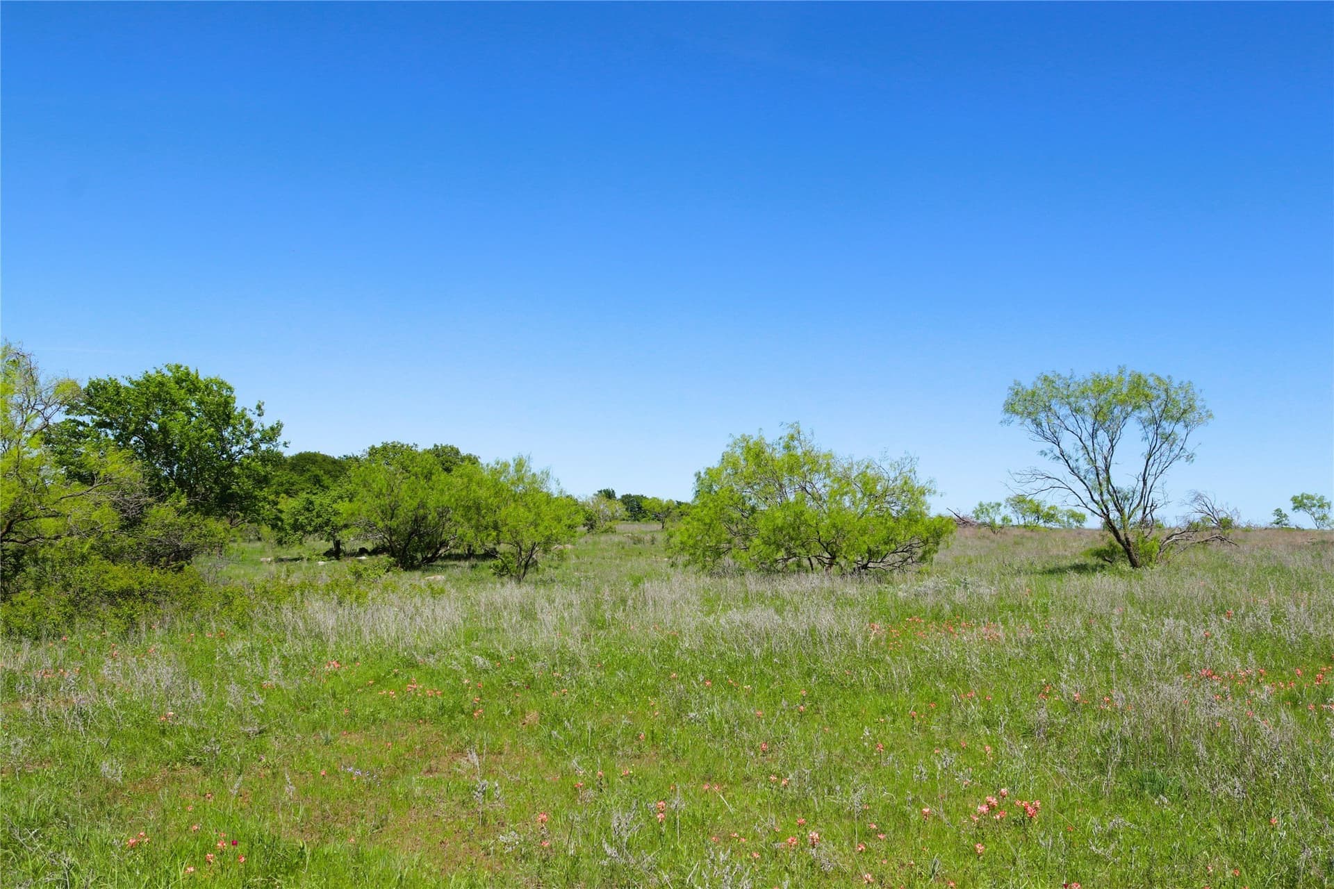 50 acres in Clay County - photo 35