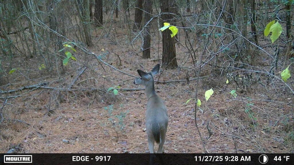 24.72 acres in Texas County - photo 45