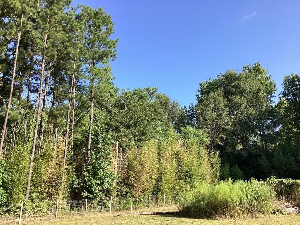 24.72 acres in Texas County - photo 12