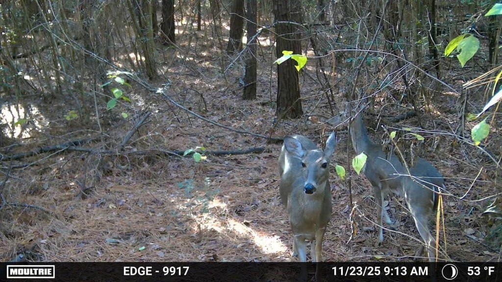 24.72 acres in Texas County - photo 46