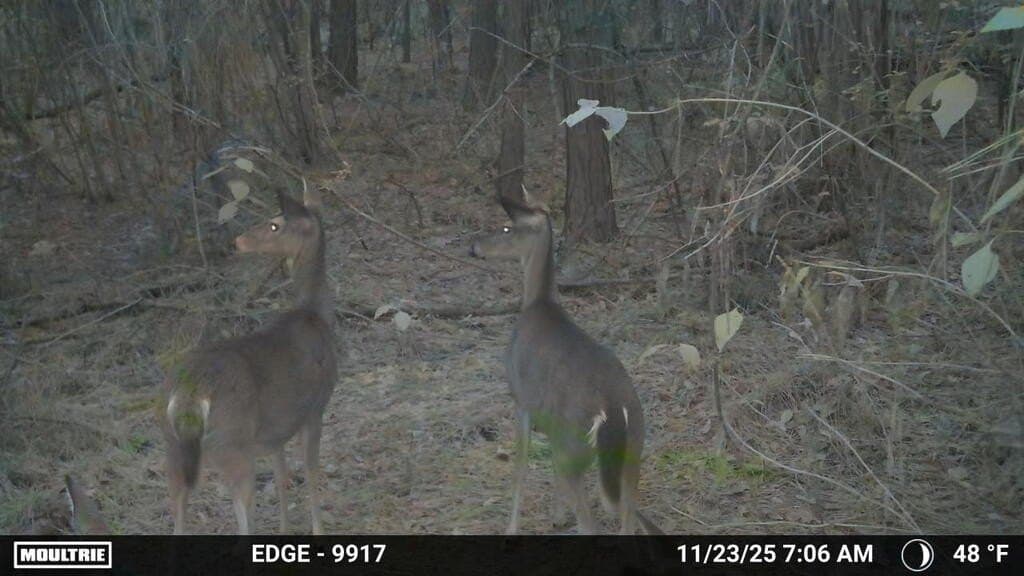 24.72 acres in Texas County - photo 47