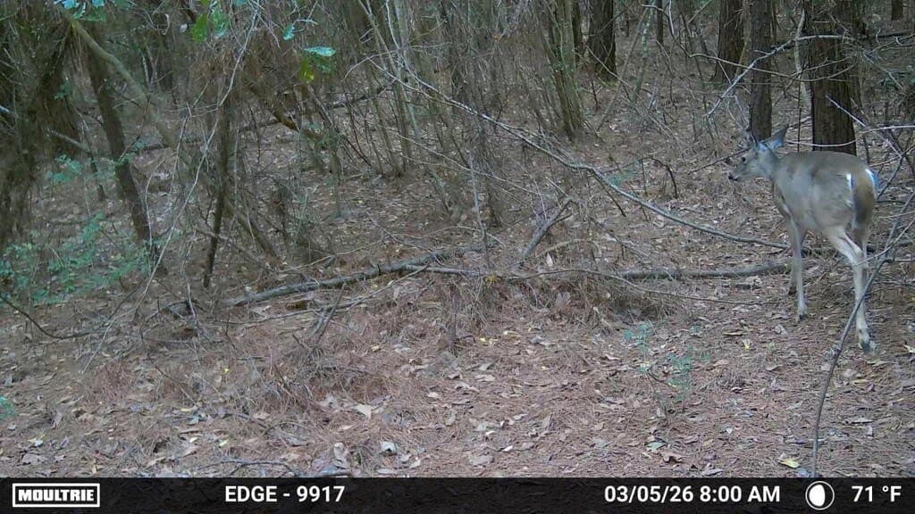 24.72 acres in Texas County - photo 44