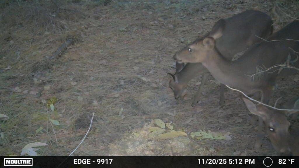 24.72 acres in Texas County - photo 48