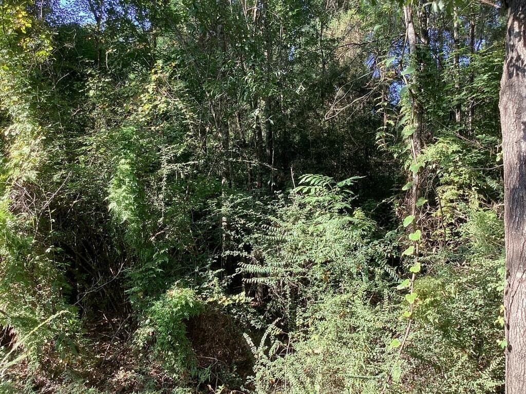 24.72 acres in Texas County - photo 40