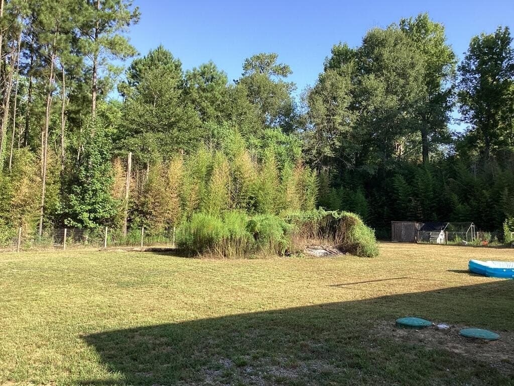 24.72 acres in Texas County - photo 9