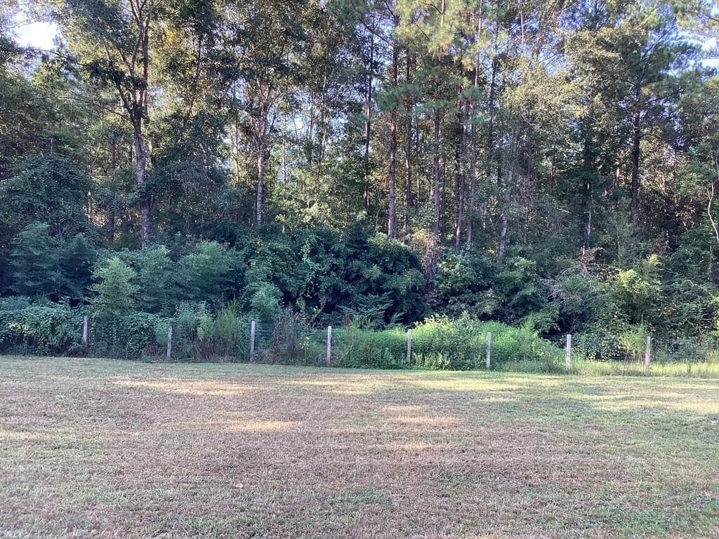 24.72 acres in Texas County - photo 6