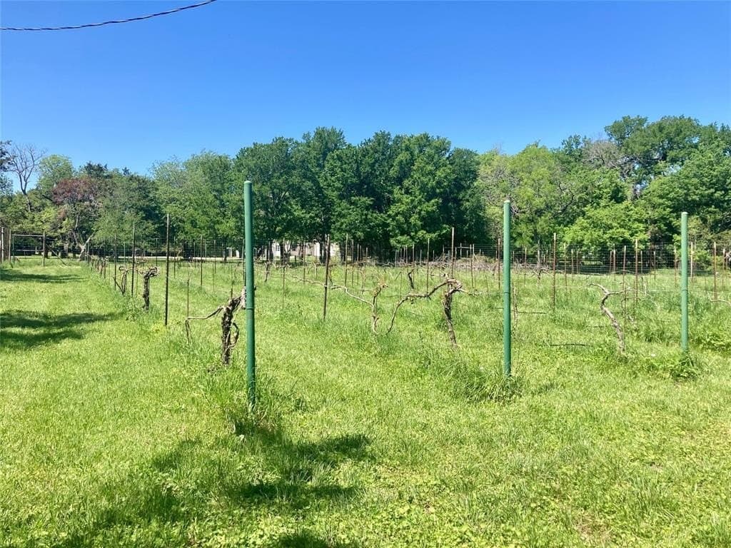 10 acres in Bosque County gallery image 3