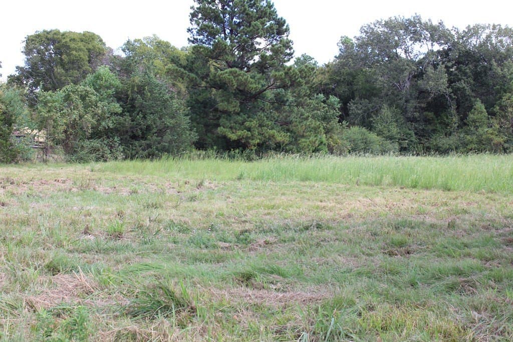 5.36 acres in Texas County - photo 7