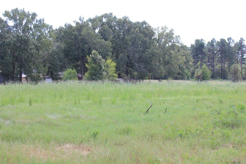 5.36 acres in Texas County - photo 8