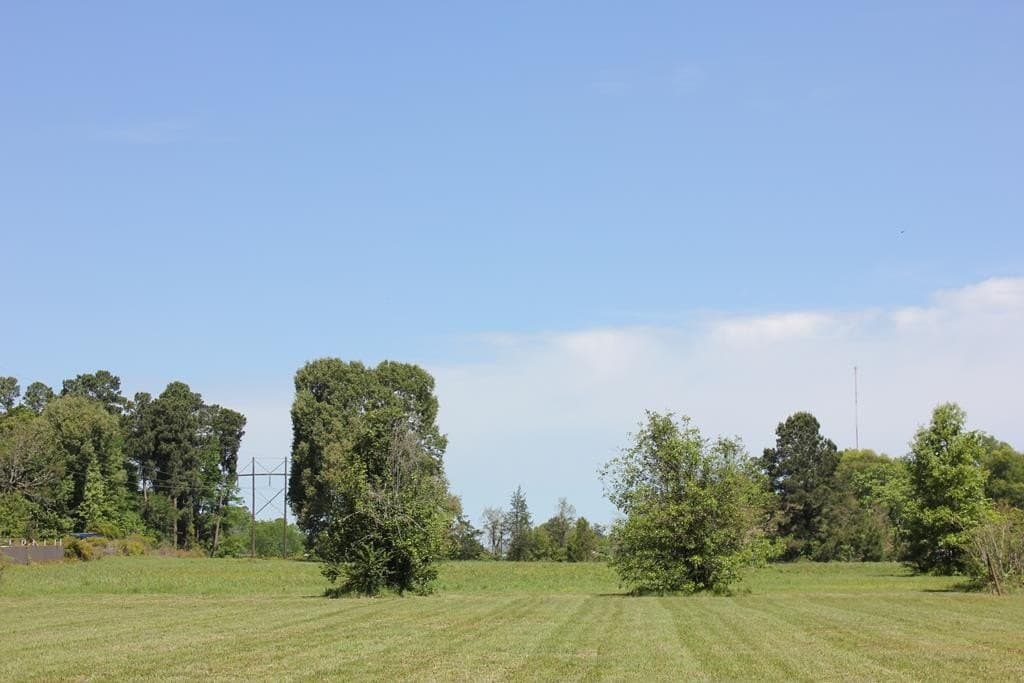 5.36 acres in Texas County - photo 14
