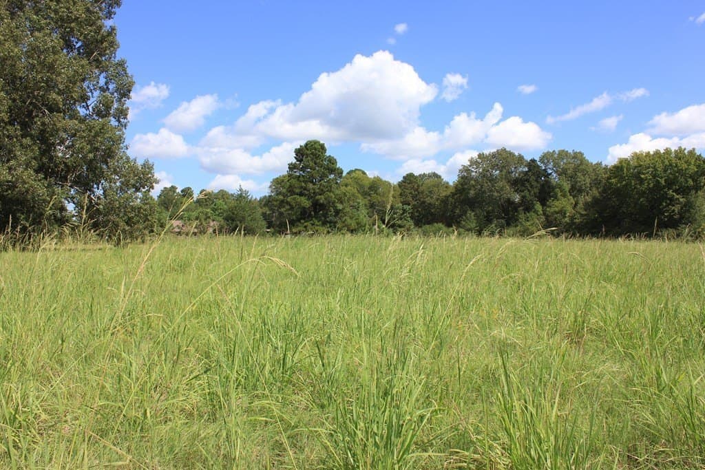 5.36 acres in Texas County featured view