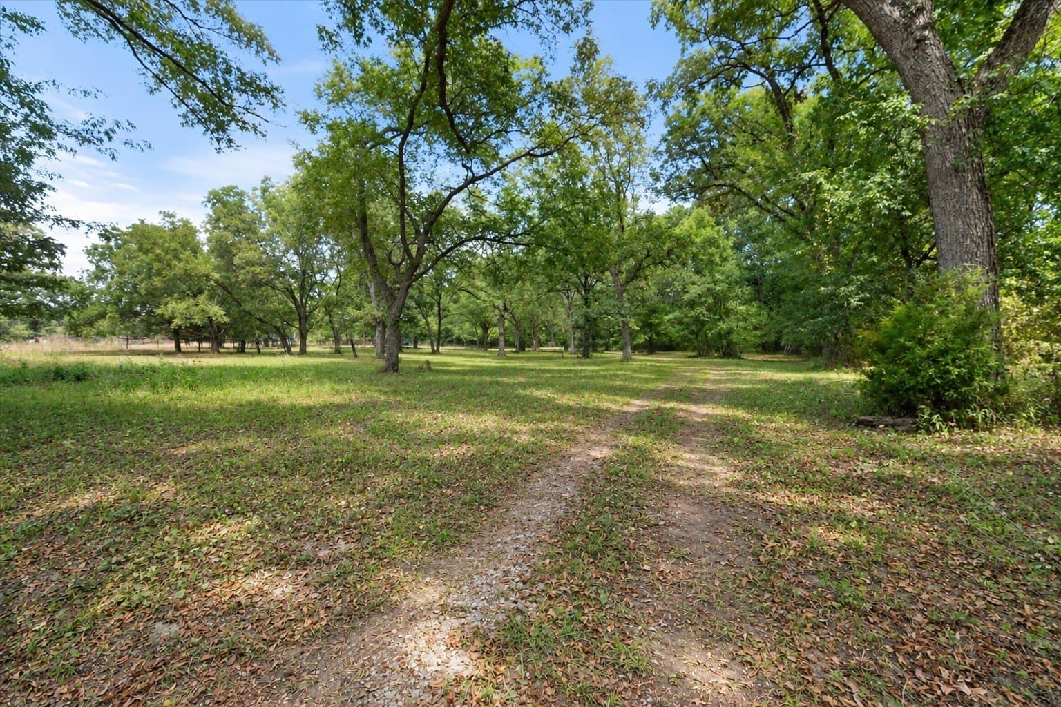 188.8 acres in Navarro County - photo 38