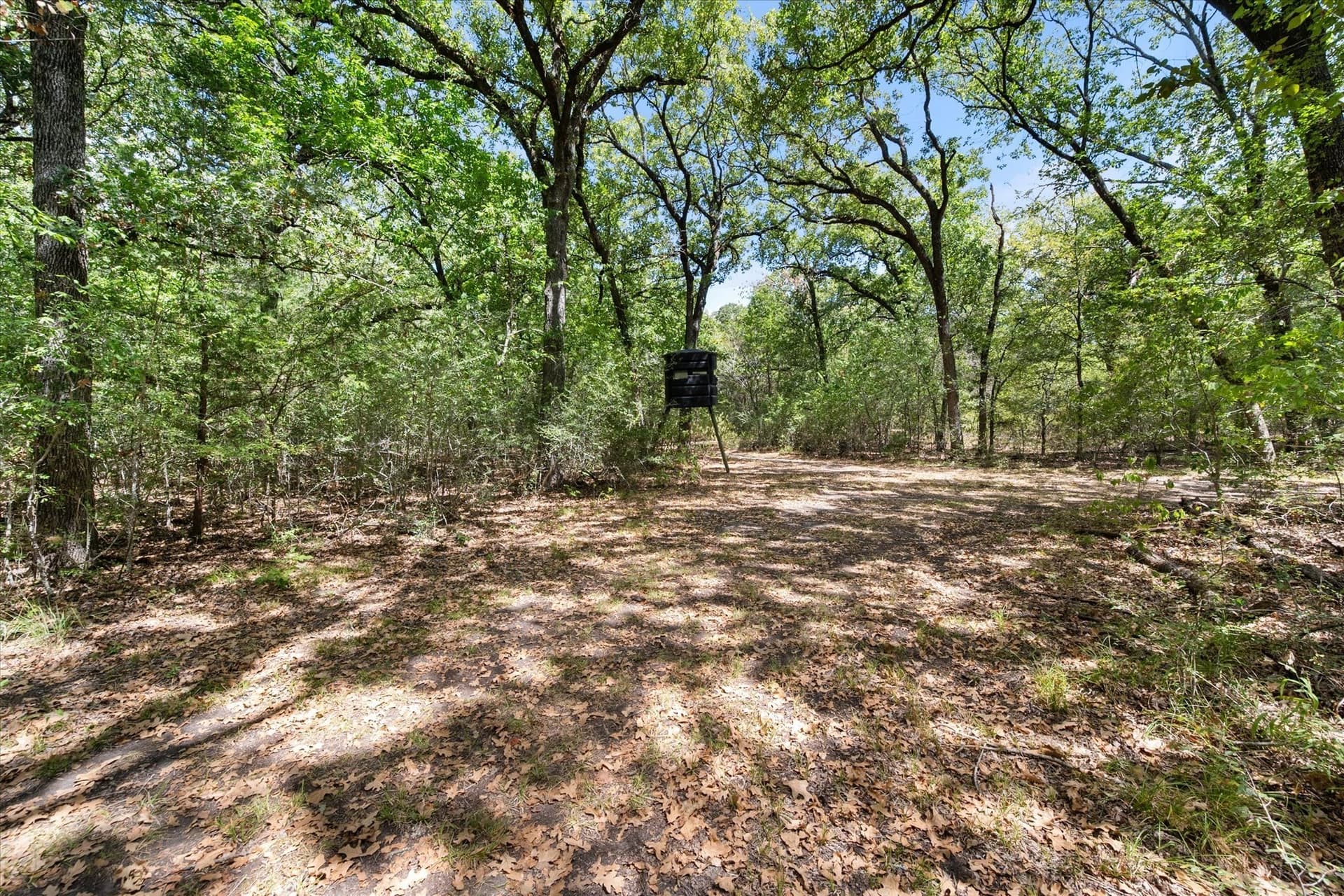 188.8 acres in Navarro County - photo 35