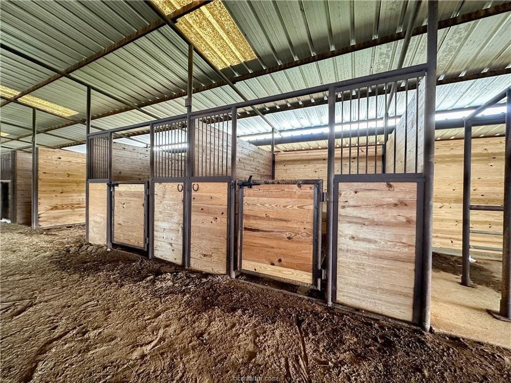 11.88 acres in Robertson County gallery image 4