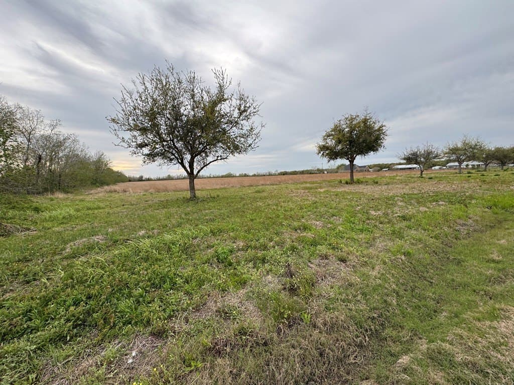 28.94 acres in Danbury County - photo 11