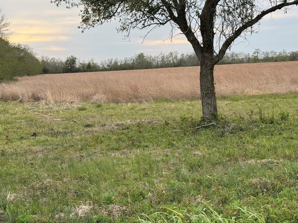 28.94 acres in Danbury County - photo 10