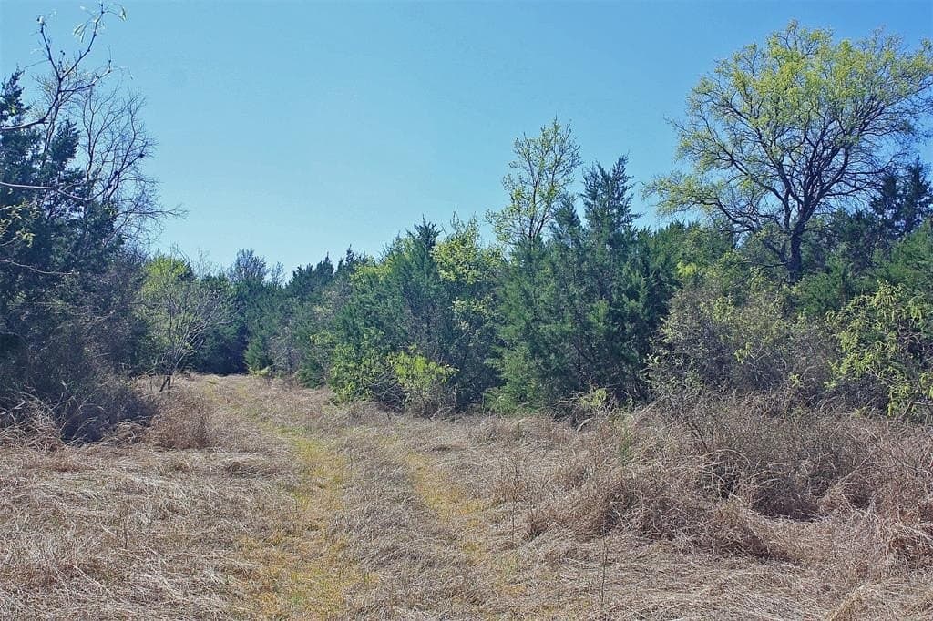 20 acres in Hood County gallery image 3