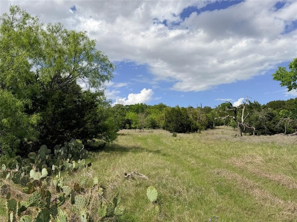 203 acres in Mills County gallery image 4