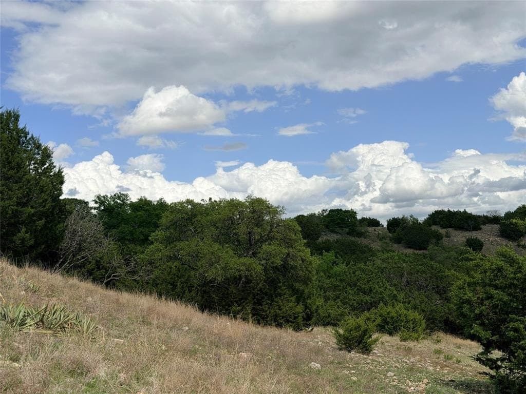 203 acres in Mills County gallery image 3