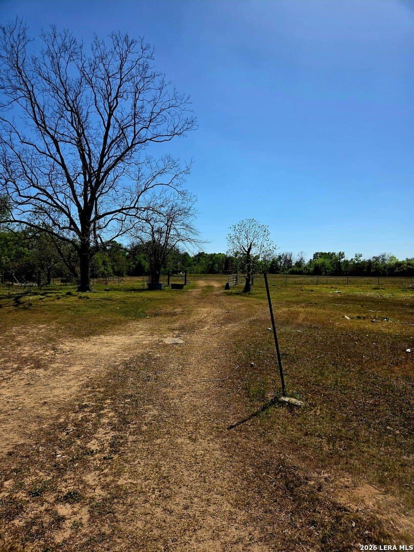 33.19 acres in Wharton County gallery image 4