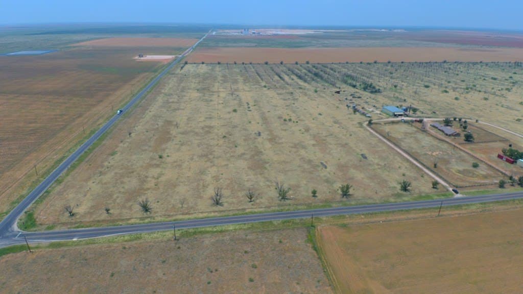 25 acres in Dawson County gallery image 4