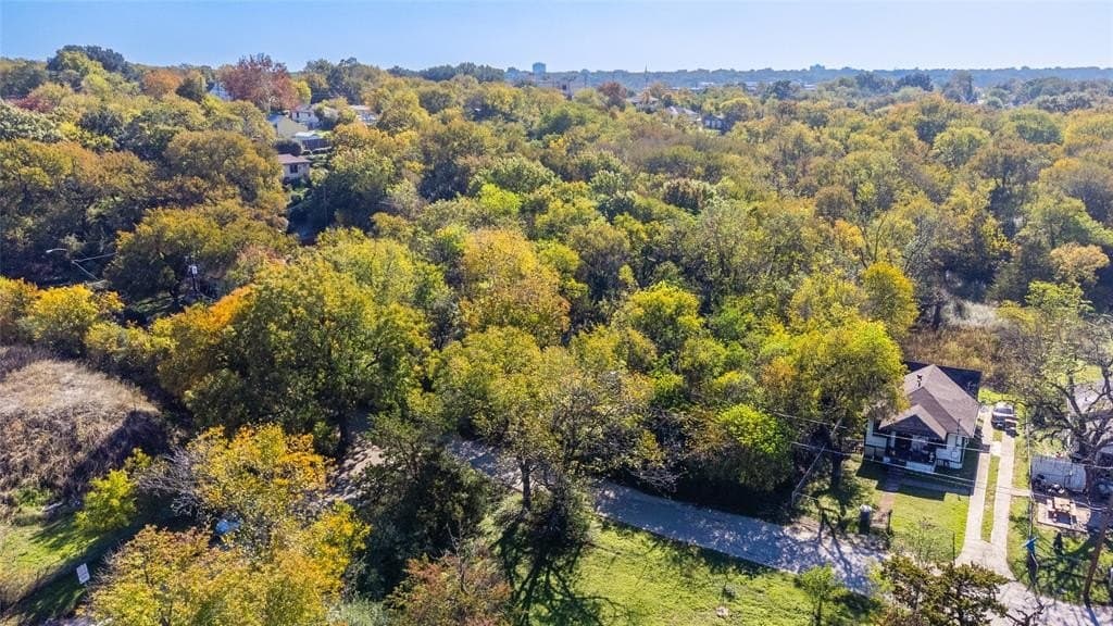 0.32 acres in Dallas County gallery image 4