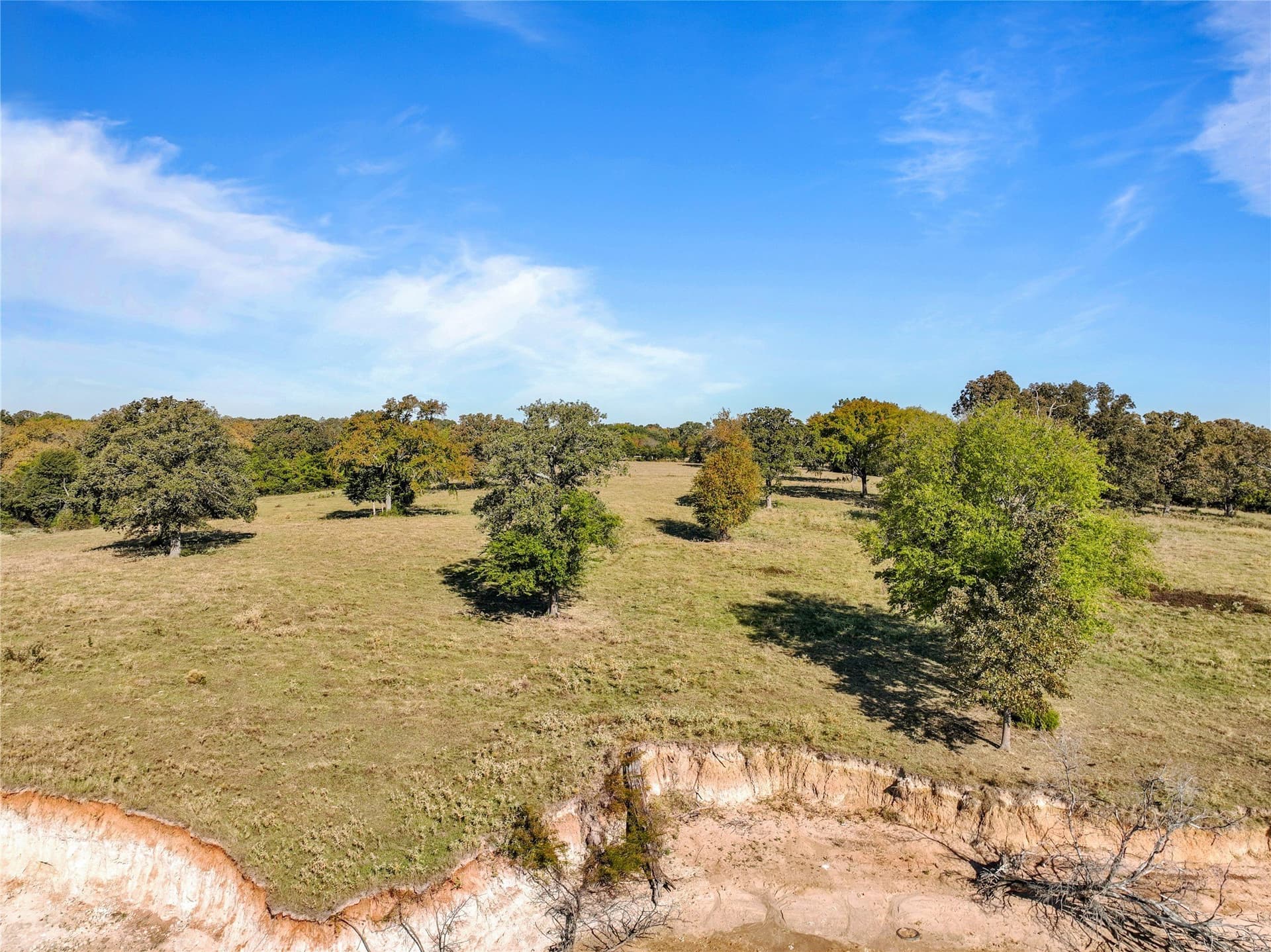 24.1 acres in Wood County - photo 9