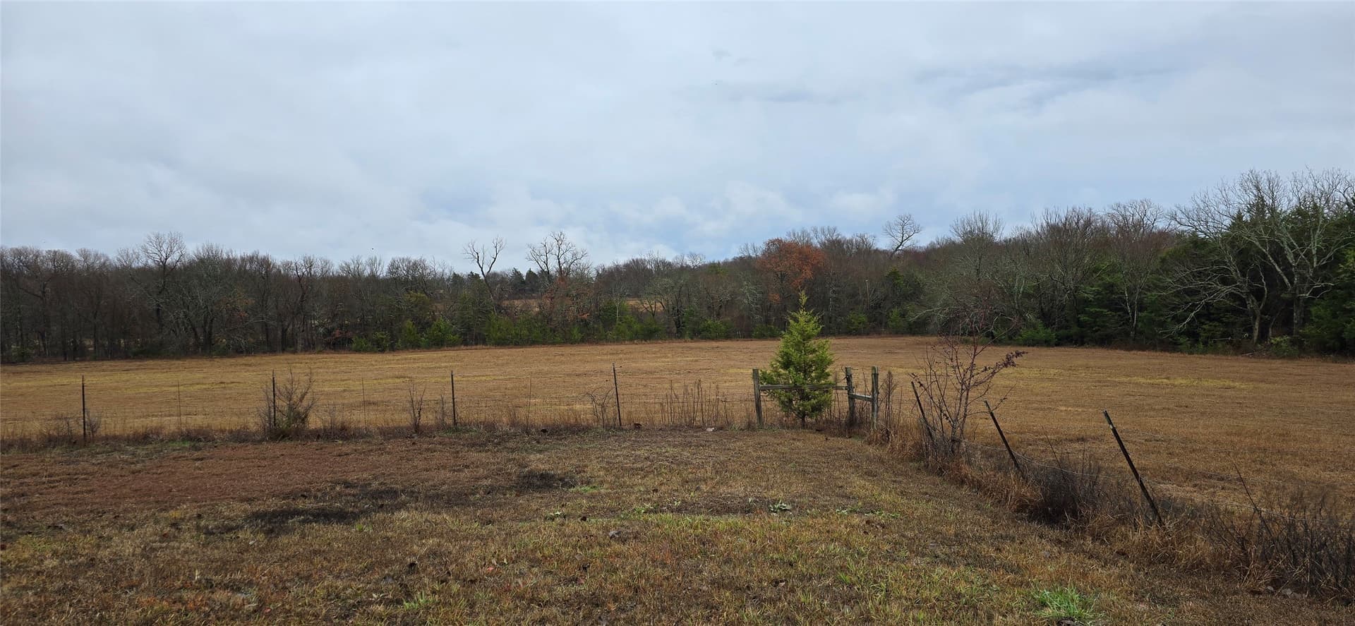 49.15 acres in Fannin County - photo 19