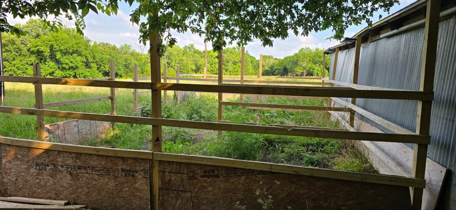 49.15 acres in Fannin County - photo 2