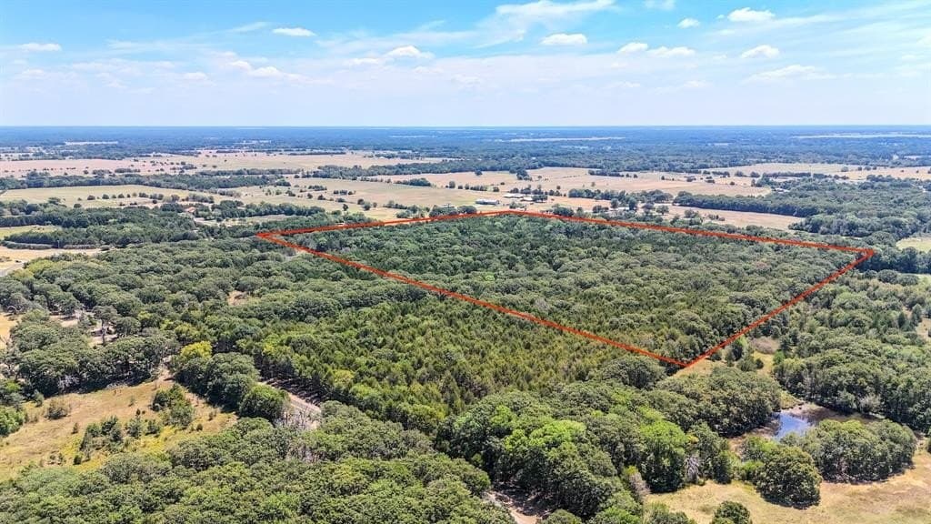 37.35 acres in Fannin County gallery image 4