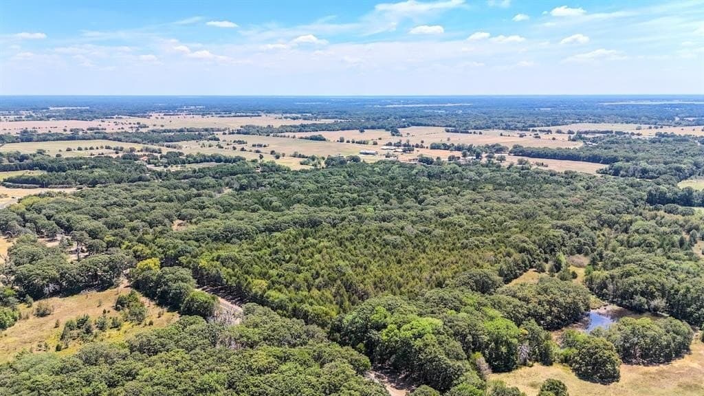 37.35 acres in Fannin County featured view