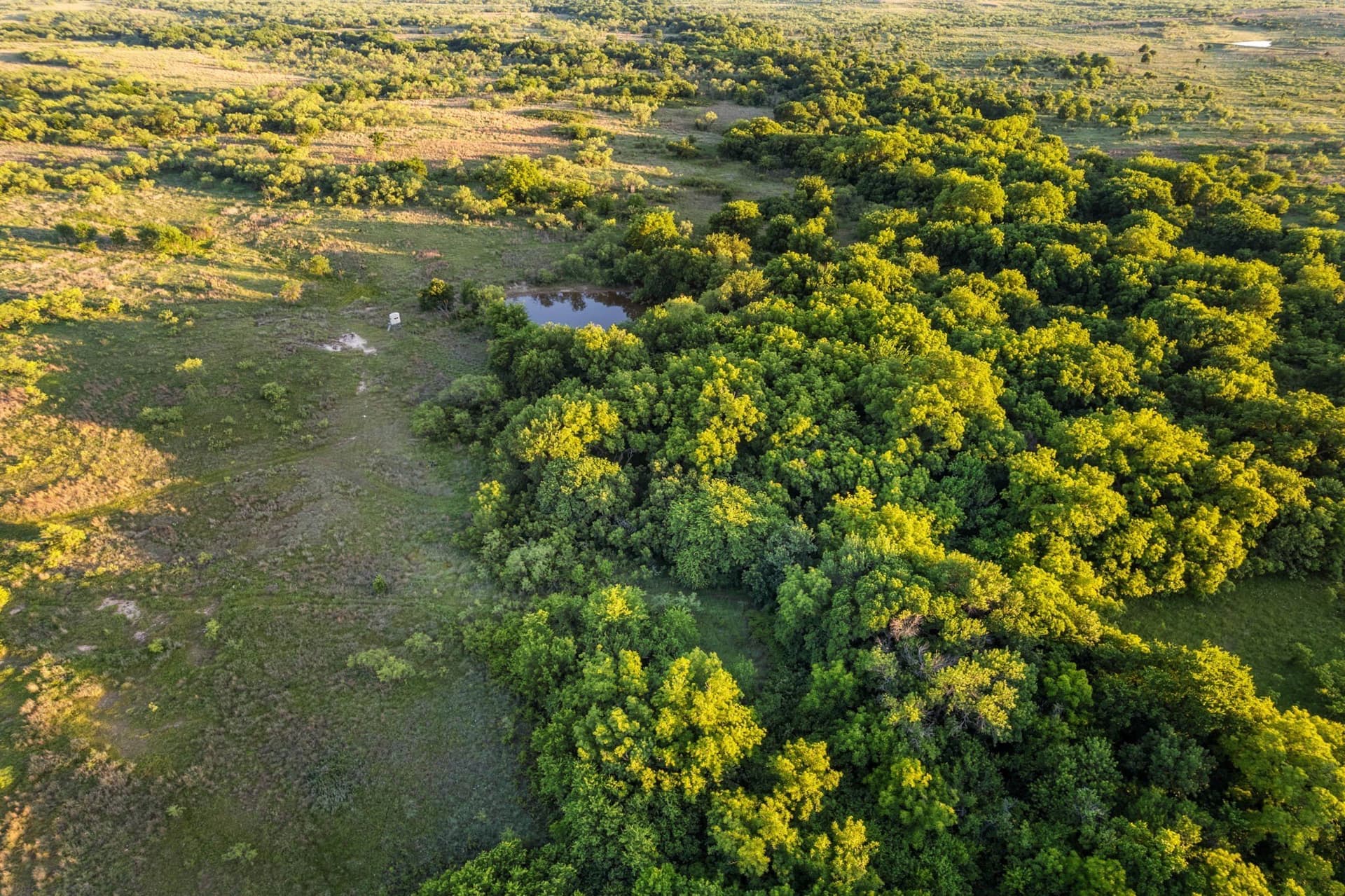 794.5 acres in Montague County - photo 17