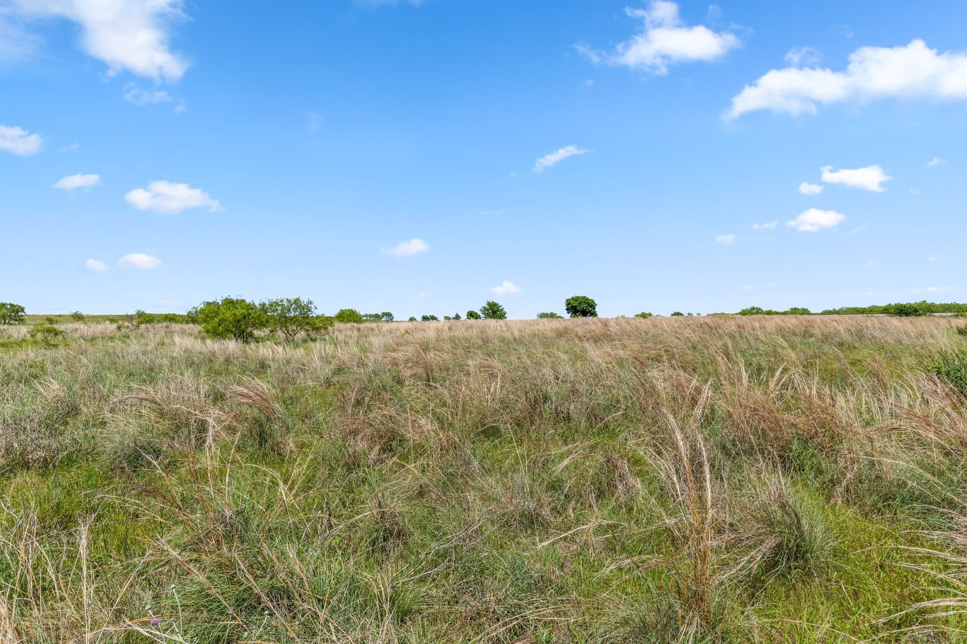 794.5 acres in Montague County - photo 16