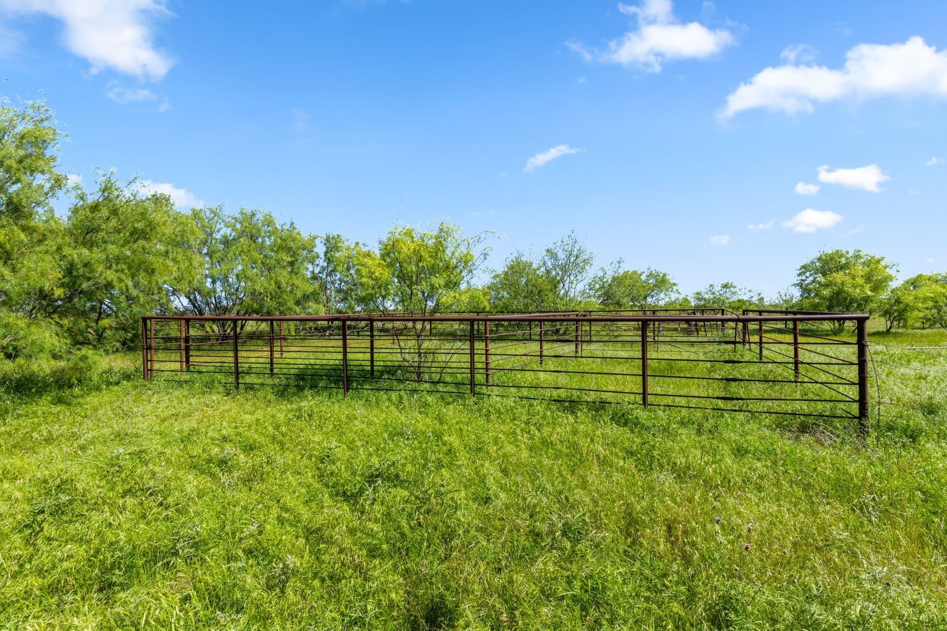 794.5 acres in Montague County - photo 13