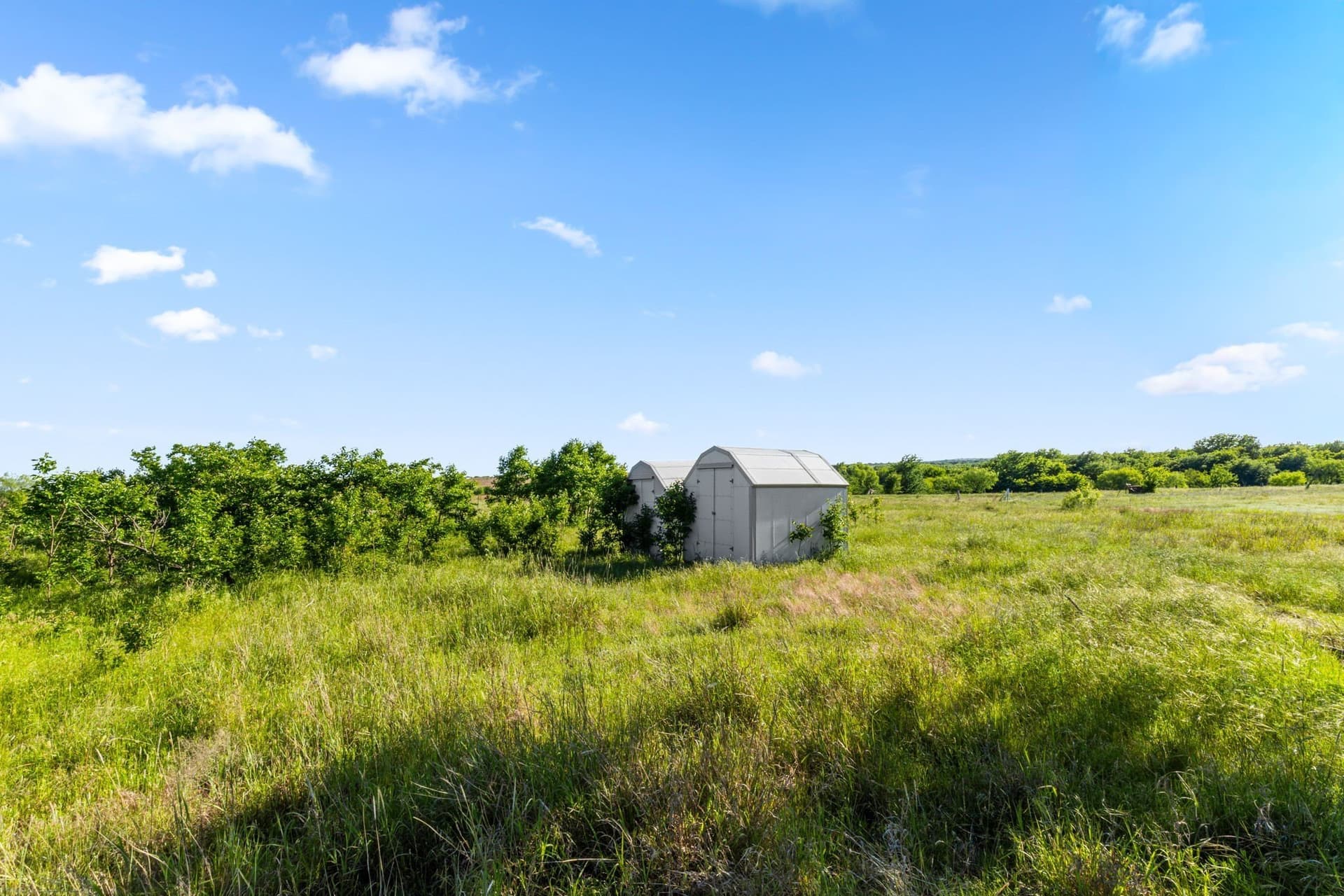 794.5 acres in Montague County - photo 5