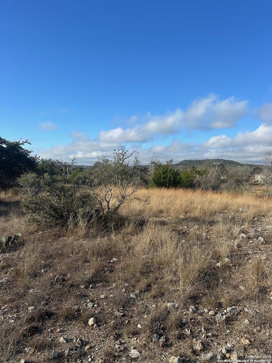 6.29 acres in Kendall County - photo 7