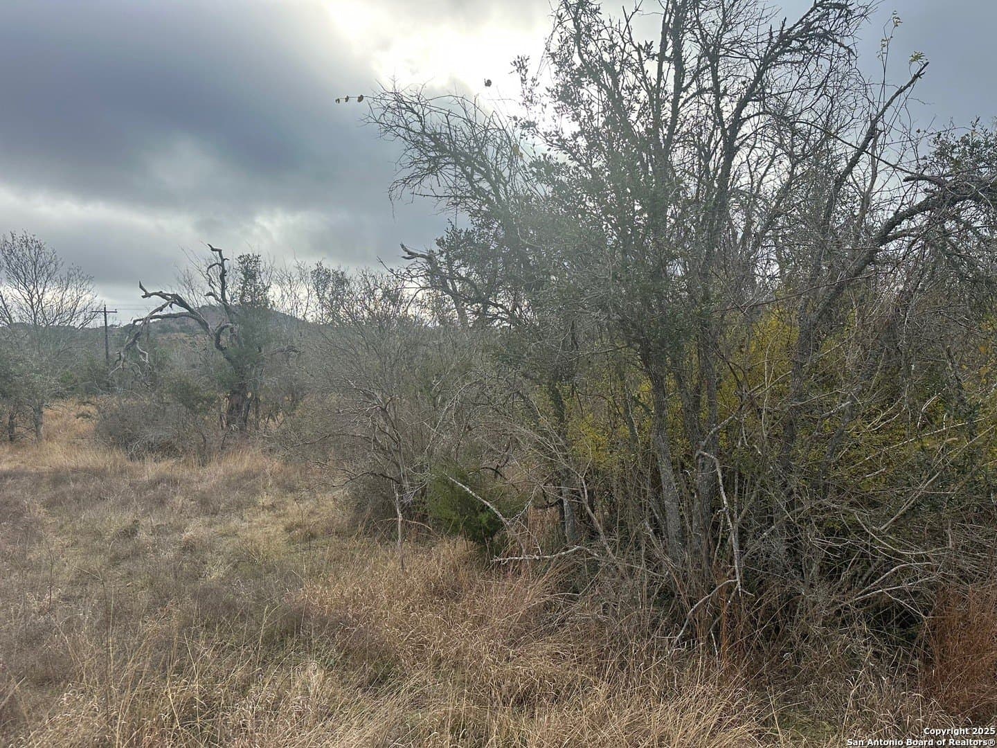 6.29 acres in Kendall County gallery image 2
