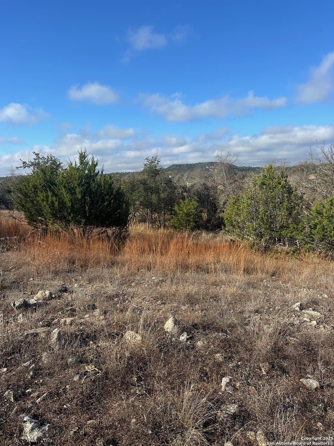 6.29 acres in Kendall County - photo 9