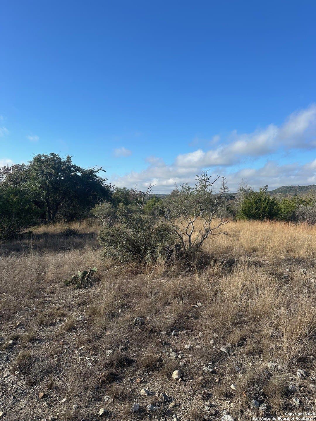 6.29 acres in Kendall County - photo 6