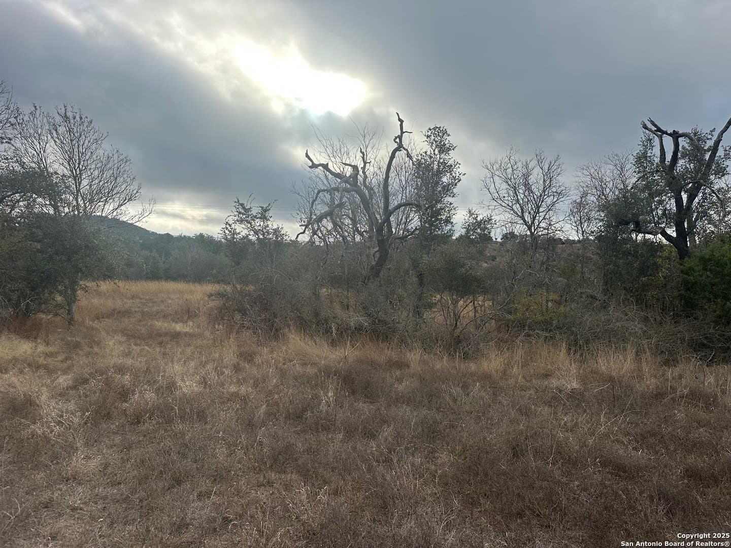 6.29 acres in Kendall County gallery image 3